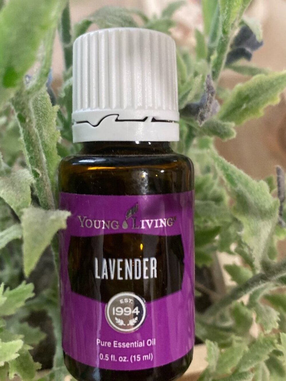 Young Living lavender essential oil
